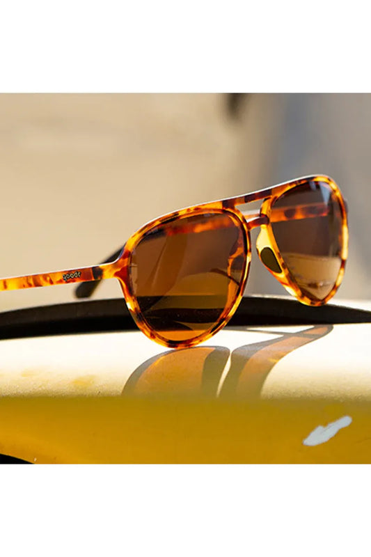 Amelia Earheart Ghosted Me Shades