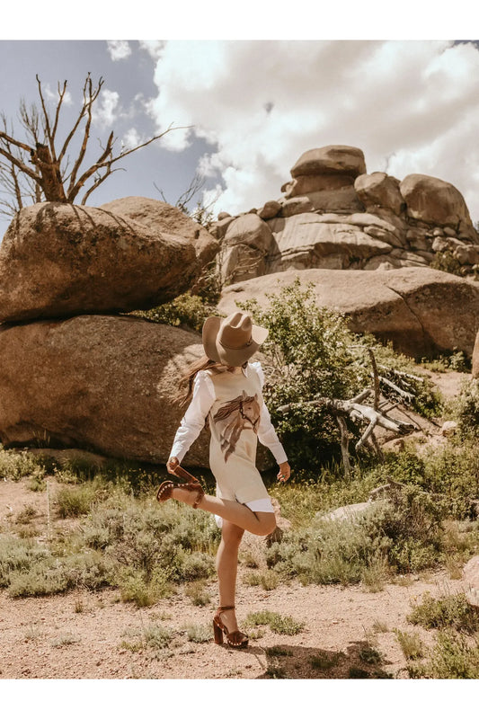 Horse Sweater Dress W/Faux White Ruffled Oxford Dress