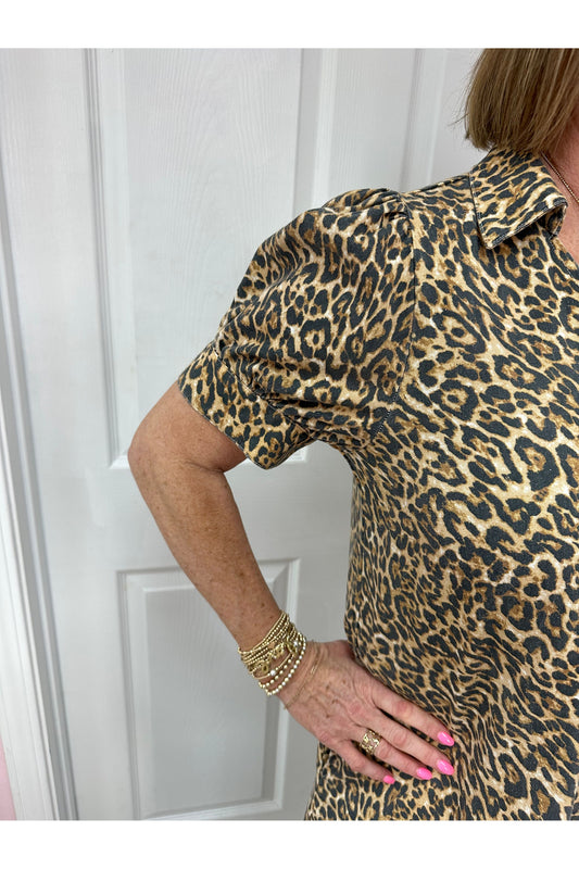Naomi Leopard Print Dress