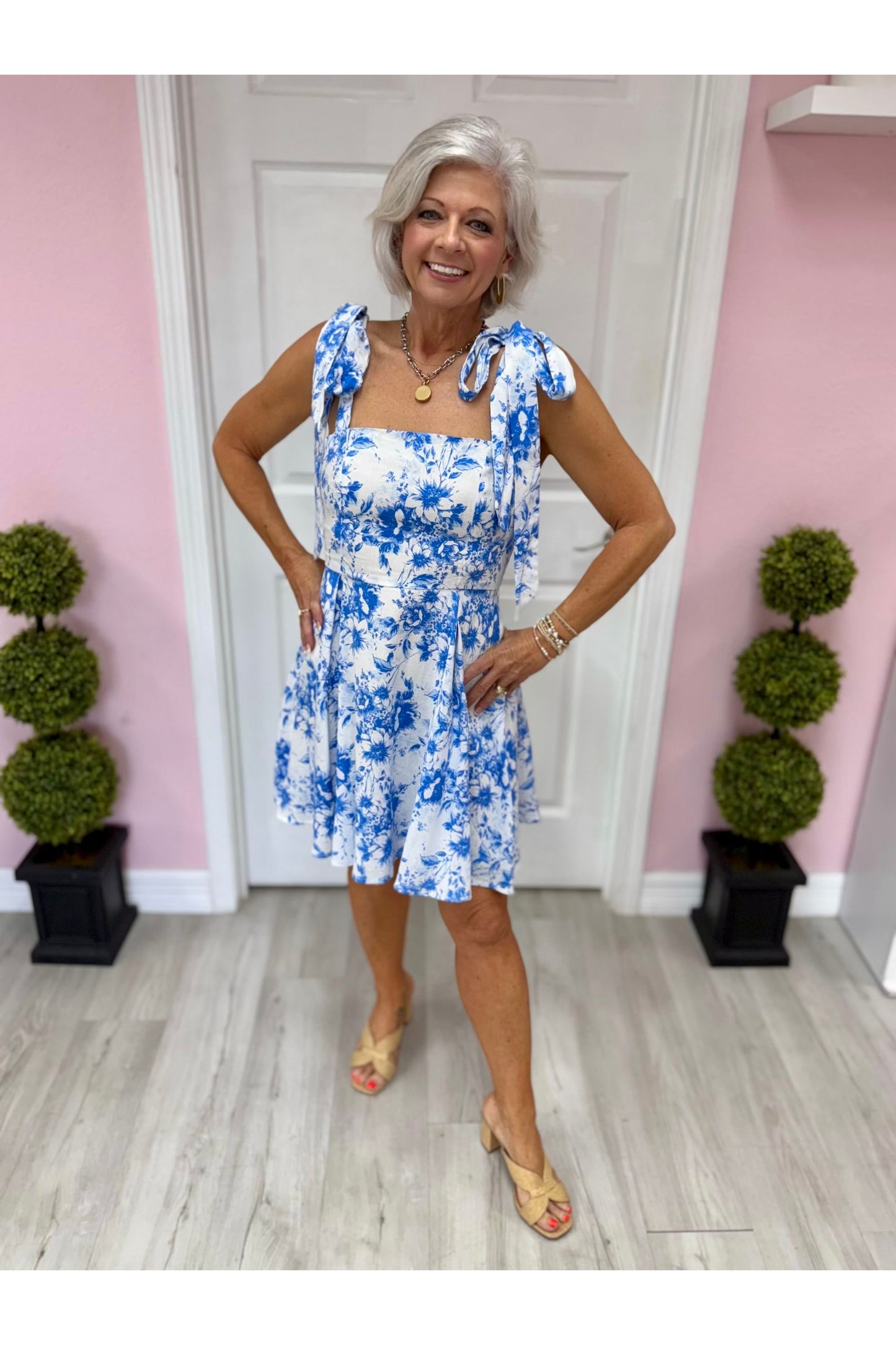Blue Skies Toile Mini Dress
