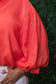 Balloon Sleeve Solid Blouse