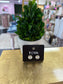 Tova The Basic Stud - Gold/Clear