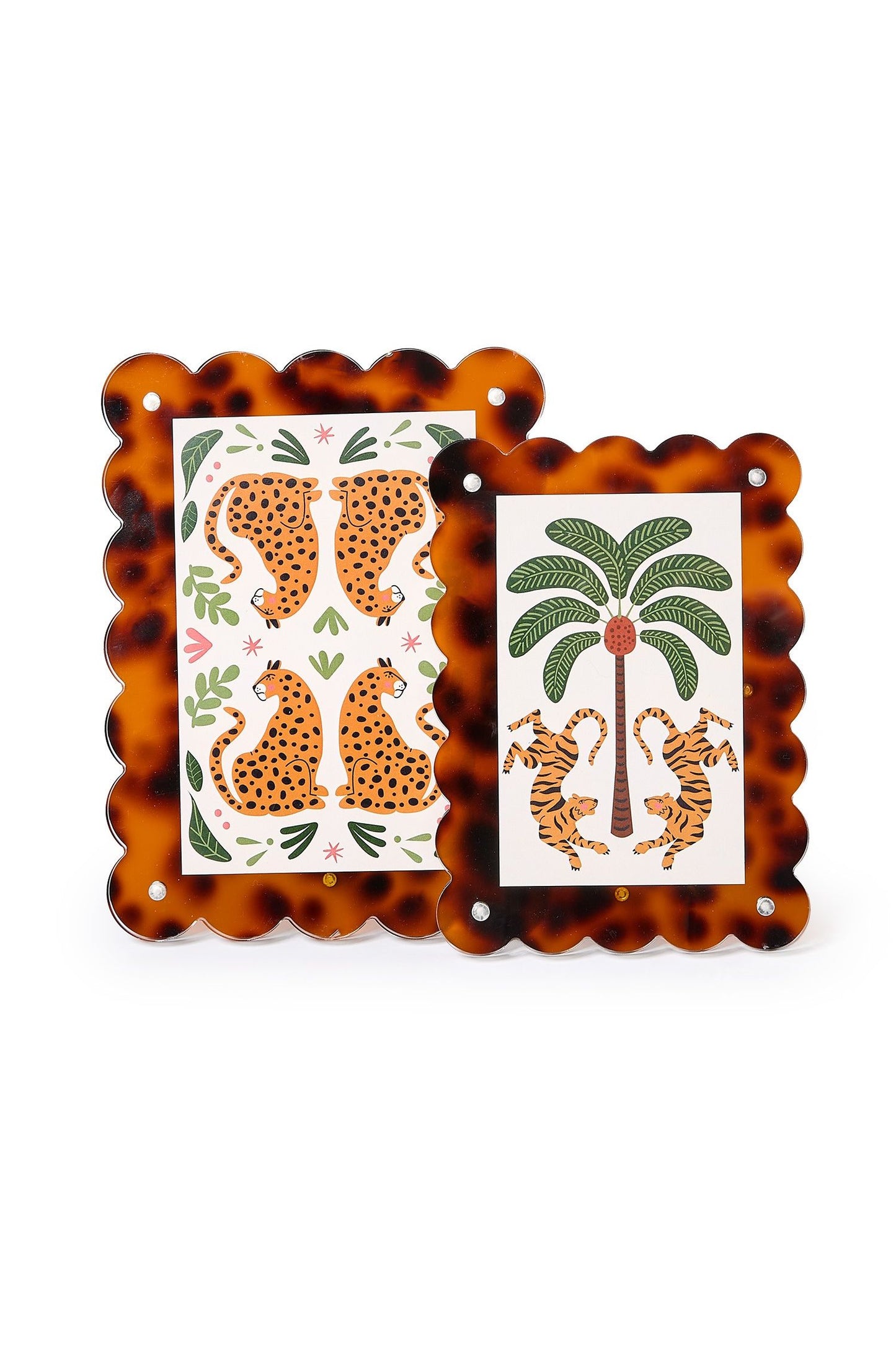 Tortoise Print Frames Set Of 2