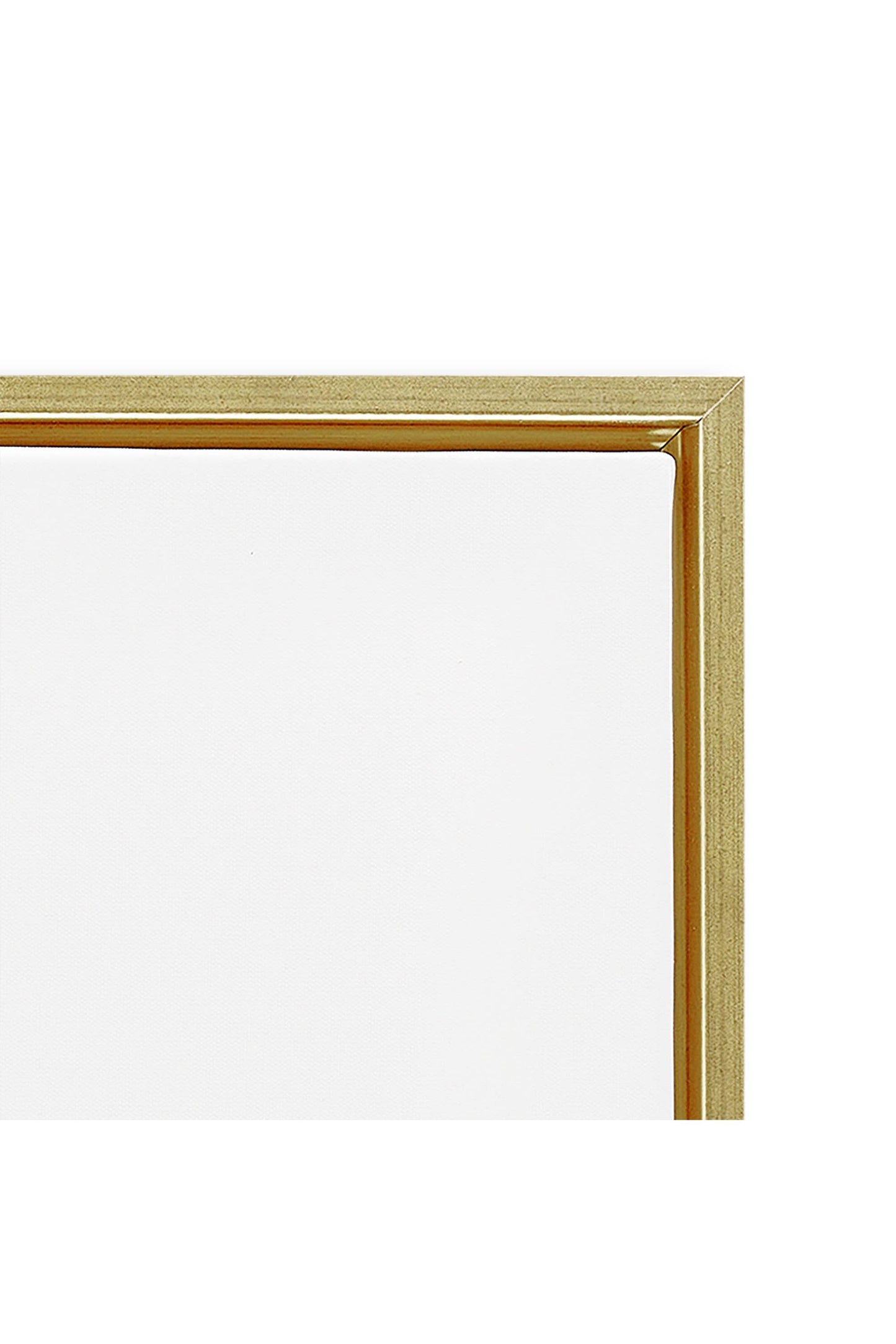 Bold Drip Roses Floater Framed Art
