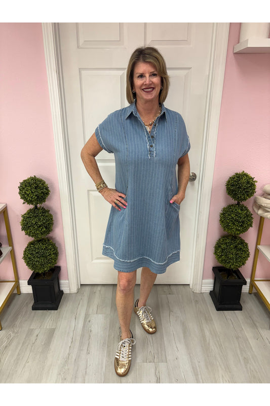 Light Denim Polo Collar Mini Dress