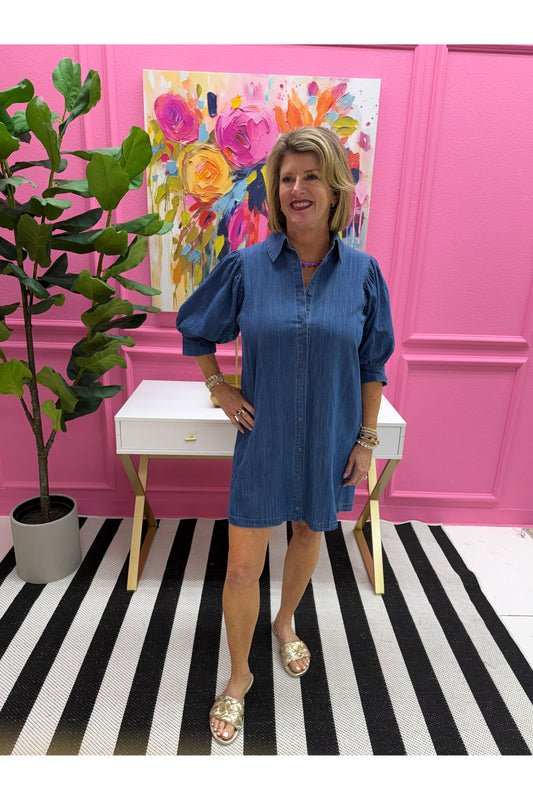Charlotte Mini Denim Dress