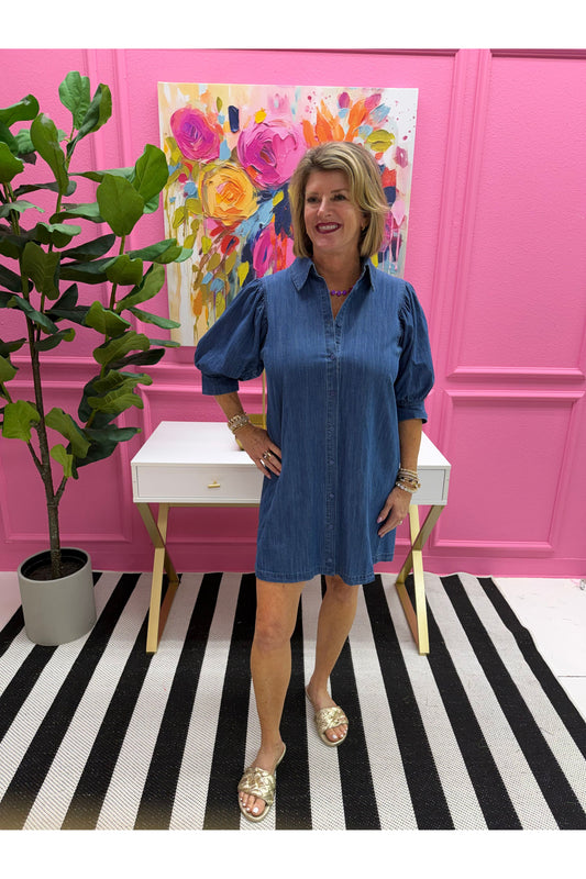Charlotte Mini Denim Dress