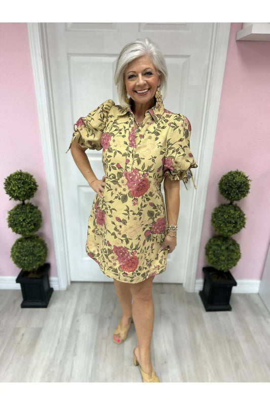 Antique Rose Collared Mini Dress