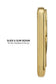 Gold MagSafe Battery Pack